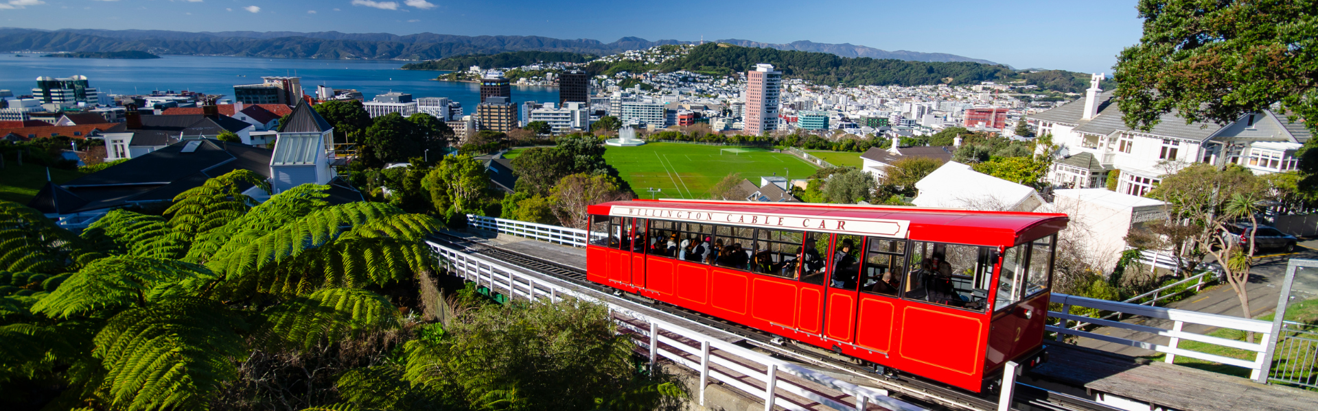 Things to Do in Wellington for Couples